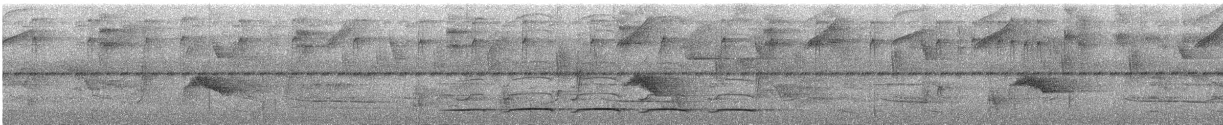 Batara fascié - ML323175911