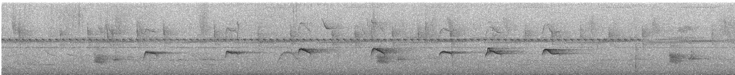 Tyranneau poliocéphale - ML323176011