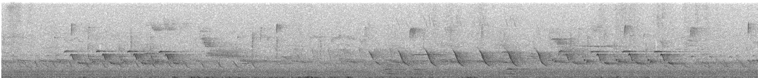 Carolina Wren - ML323189541