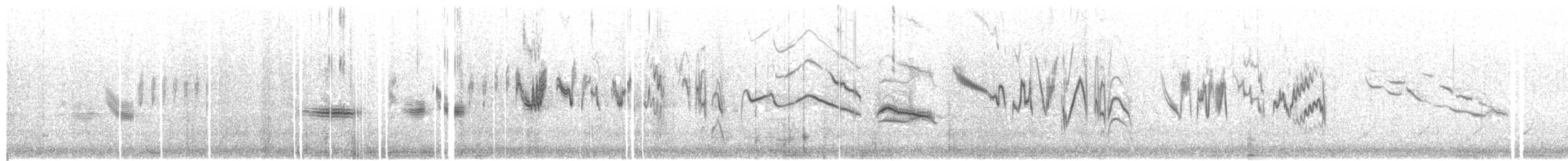 englerketrupial - ML323283631