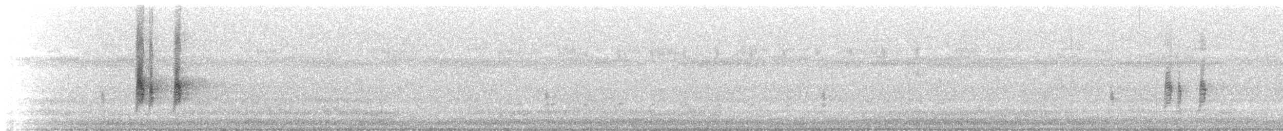 Antillennachtschwalbe - ML32337711