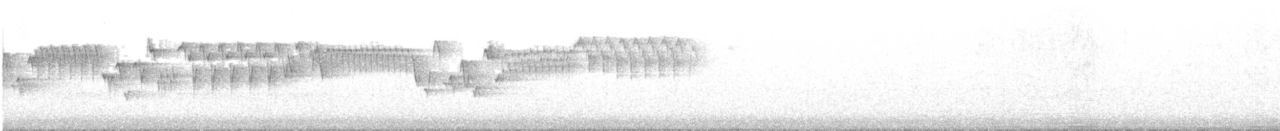 Troglodyte de Baird - ML323412171