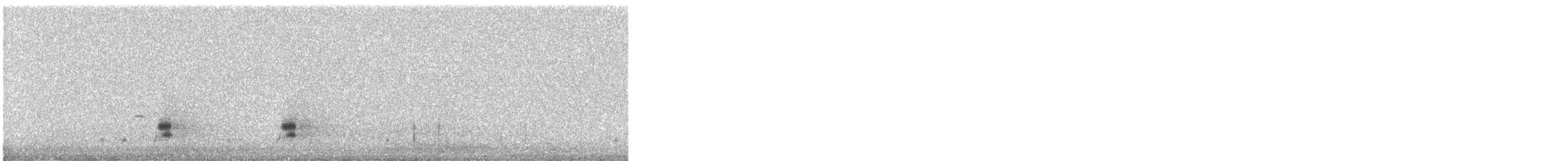 Gadwall - ML323523611