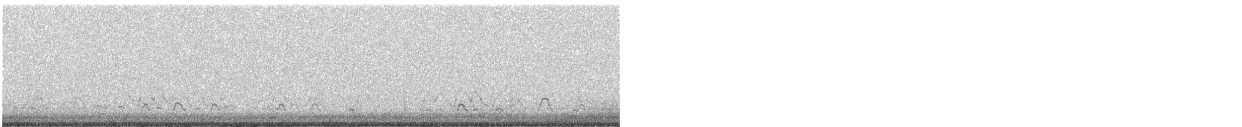 American Wigeon - ML323524421