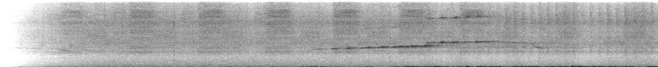 Halsband-Ameisenvogel - ML323556121