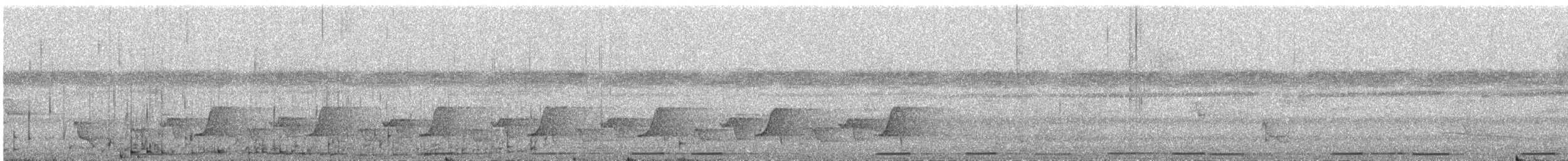 Blue Ground Dove - ML323586671