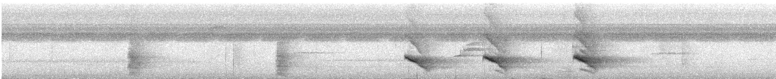 Violaceous Jay - ML323587131