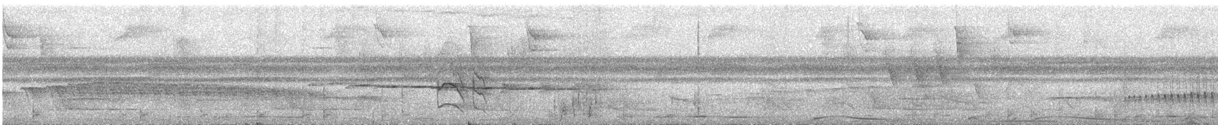 Guianan Streaked-Antwren - ML323587371