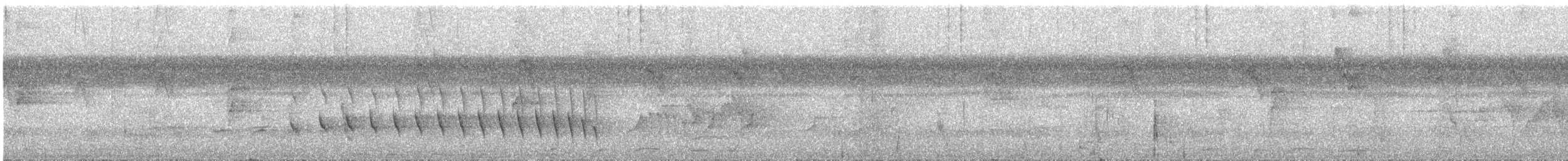 Pygmy Antwren - ML323587381