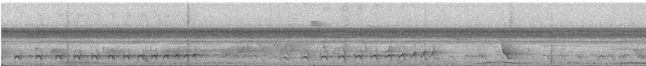 Black-crested Antshrike - ML323587691