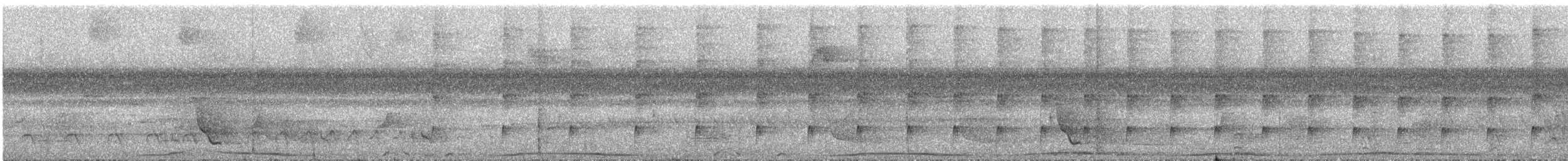 Helmeted Pygmy-Tyrant - ML323589991