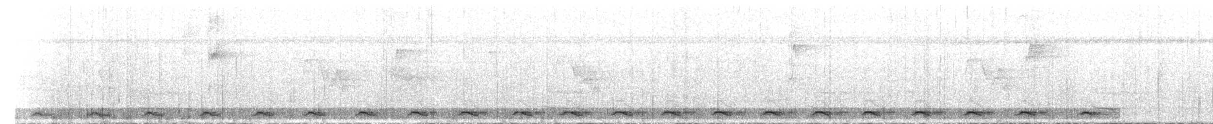 Black-tailed Trogon - ML32359971