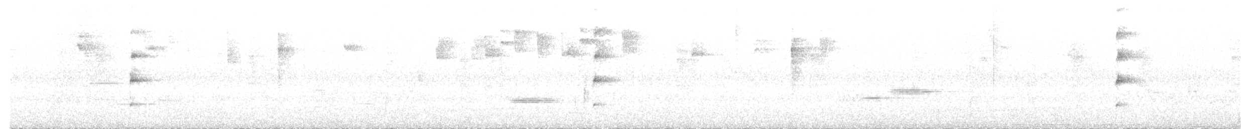 svartleggtykknebb - ML323603481