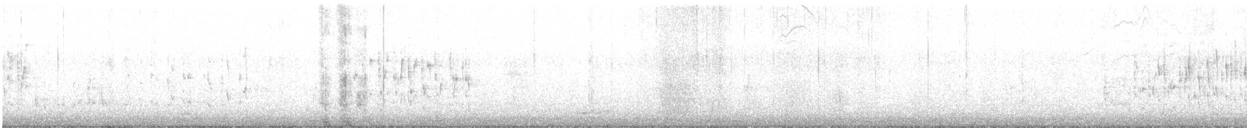 Troglodyte des marais - ML323613641