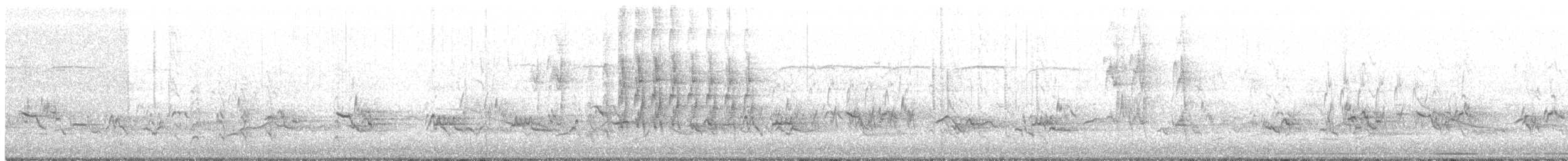 American Robin - ML323669301