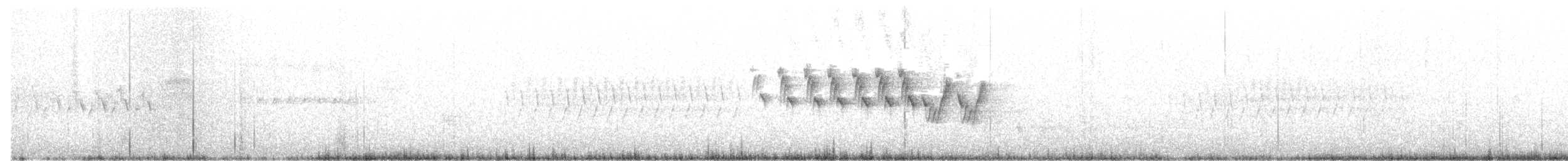 MacGillivray's Warbler - ML323842701