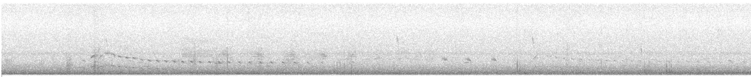 Polluela Sora - ML323901041