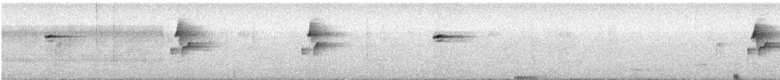 Western Flycatcher (Pacific-slope) - ML323940131