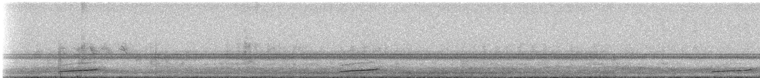 Хотны бүгээхэй - ML323966981