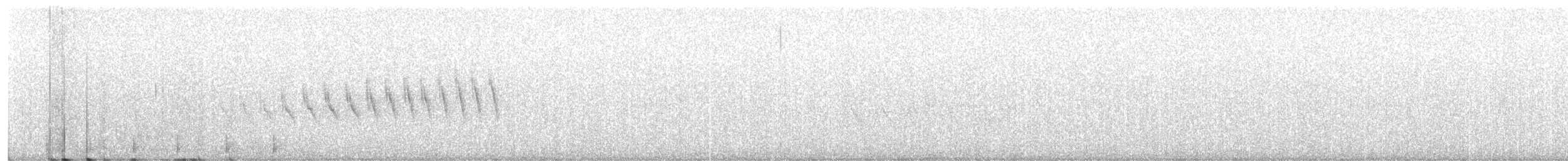 Grace's Warbler - ML323976461