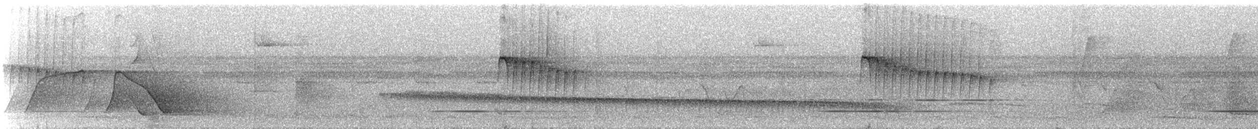 Ornate Stipplethroat - ML324001