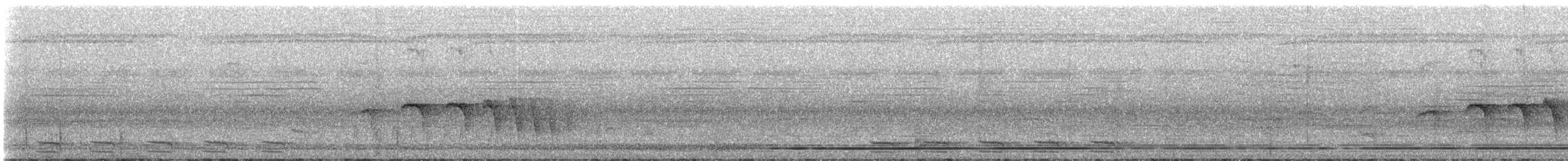 White-shouldered Antshrike - ML324085