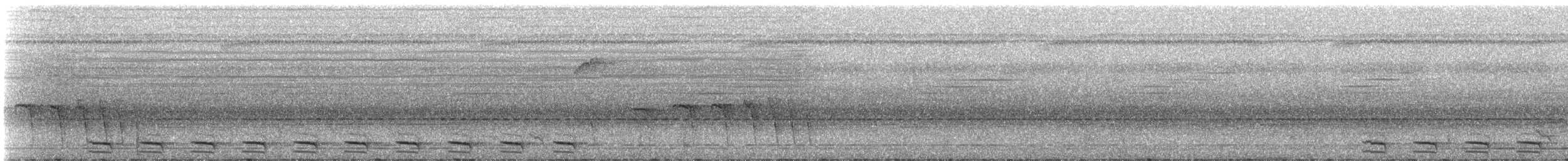 White-shouldered Antshrike - ML324087