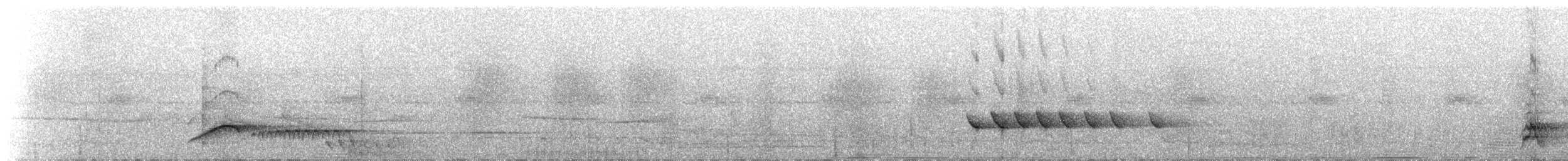 Lawrence's Thrush - ML324098