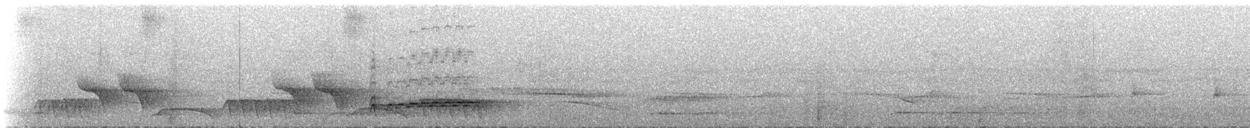 Lawrence's Thrush - ML324099