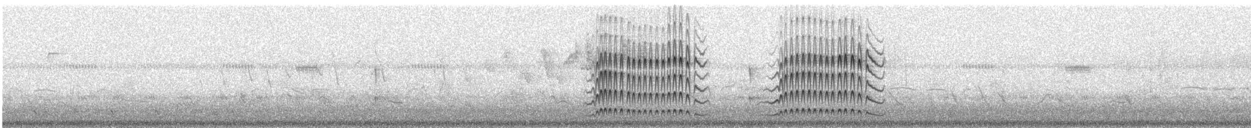 Copetón Apical - ML324213081