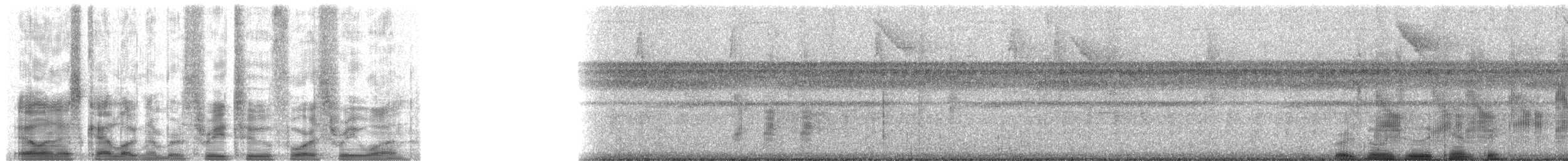Чернохвостая титира (cayana) - ML32431