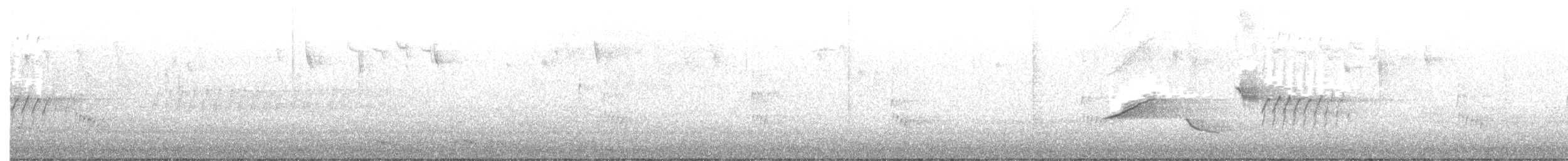 Eastern Towhee - ML324323901