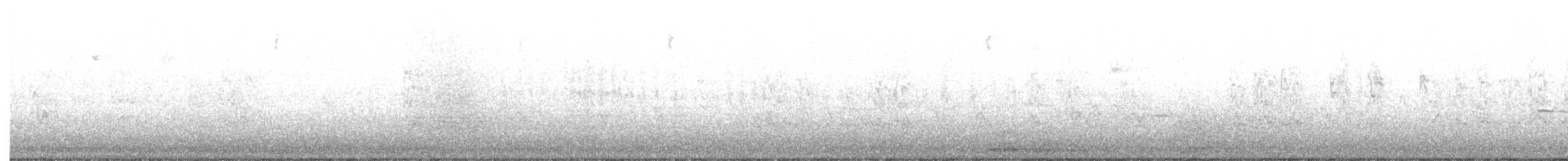 גיבתונית לבנת-גרון - ML324368321
