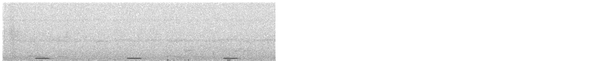 holoubek šedomodrý - ML32443301