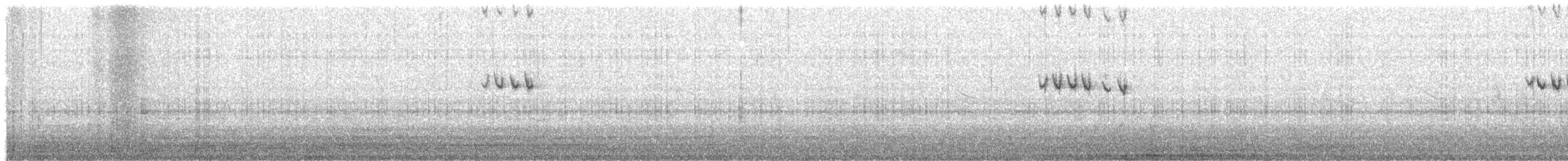 Tuntun siberiarra - ML324450651