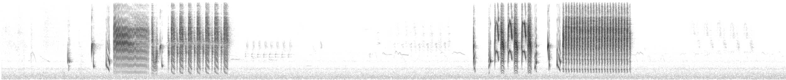 Troglodyte des marais (groupe paludicola) - ML324638111