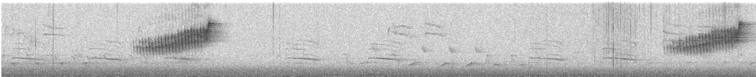 Northern Parula - ML324828121