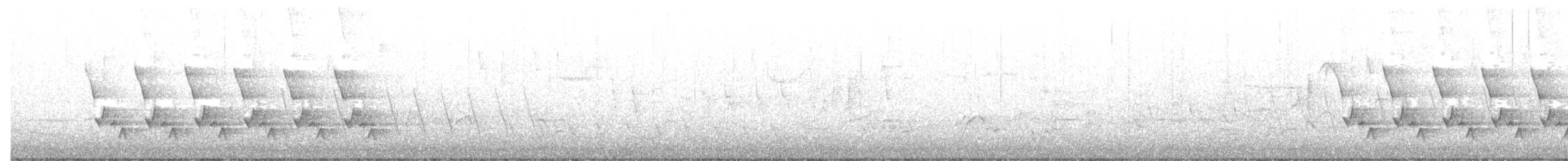 Каролинский крапивник - ML324857371