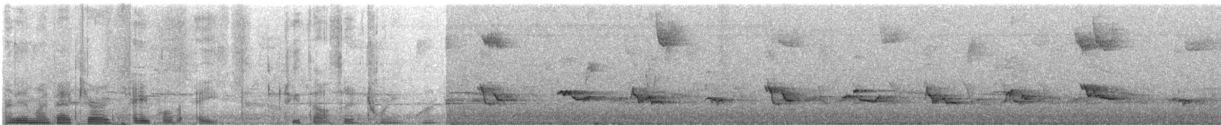 American Robin - ML324864721