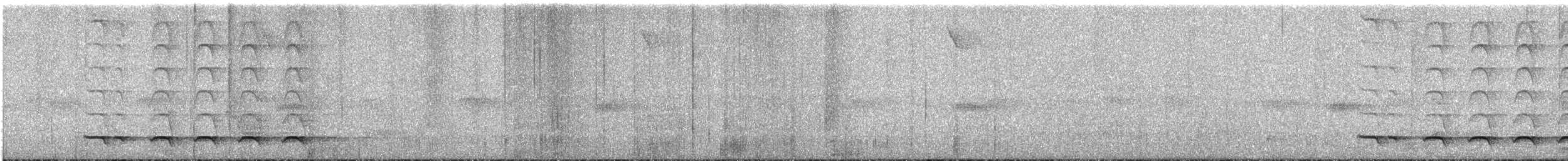 Trogon rosalba (groupe collaris) - ML324869231