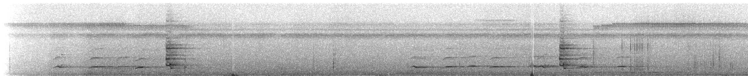 Ak Enseli Mavi Karga - ML325008