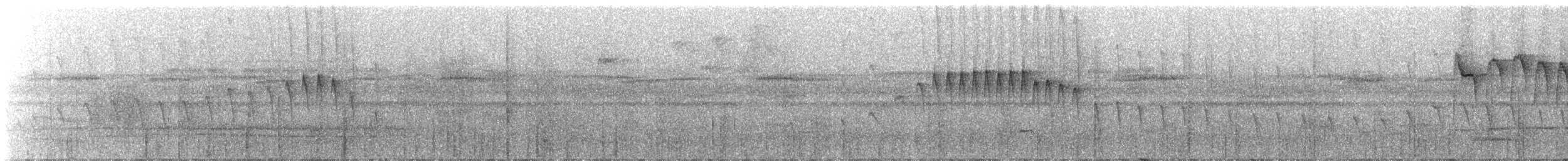 Ornate Stipplethroat - ML325055