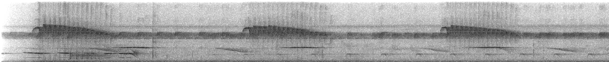Ornate Stipplethroat - ML325098