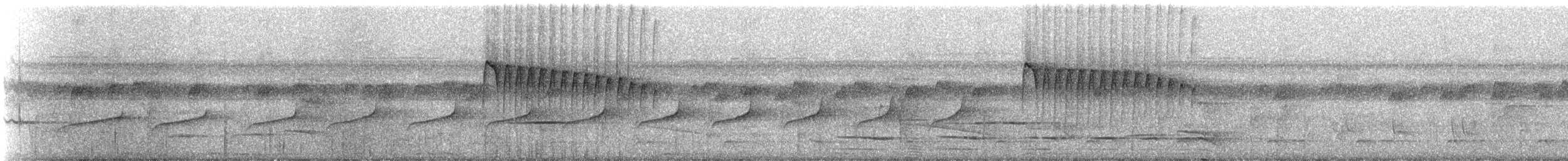 Ornate Stipplethroat - ML325101