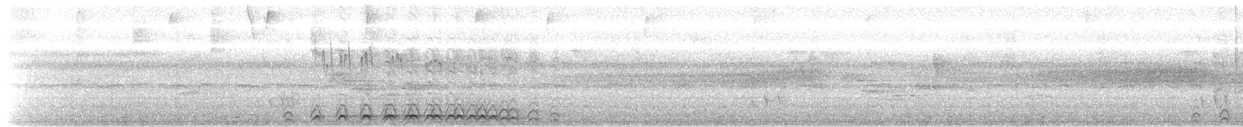 Trogon échelette - ML325102181