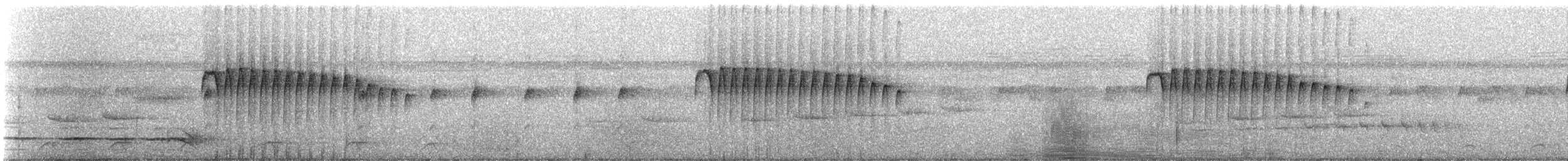Ornate Stipplethroat - ML325103