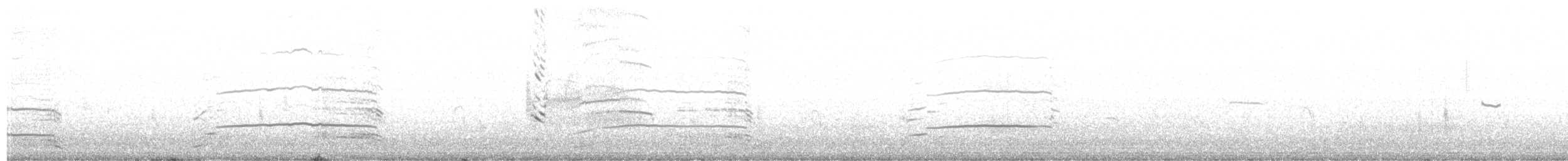 ニシセグロカモメ - ML325105271