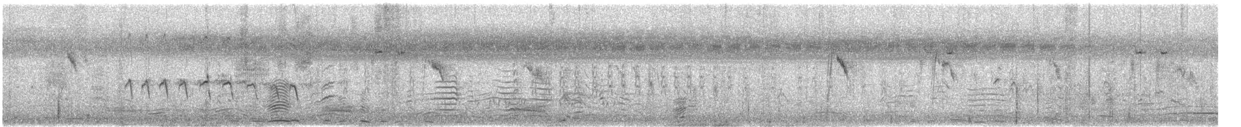 Bergeronnette printanière ou B. de Béringie - ML325105281