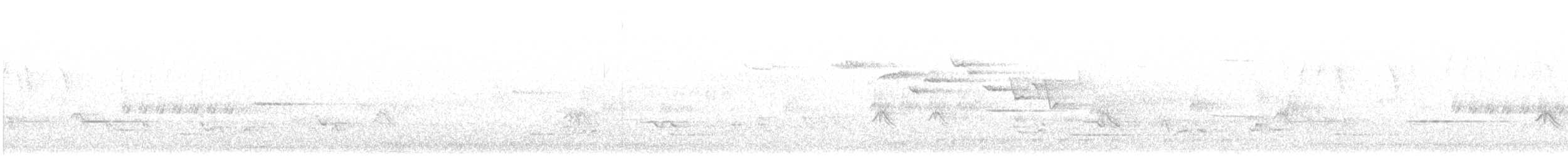 Evening Grosbeak (type 3) - ML325120591