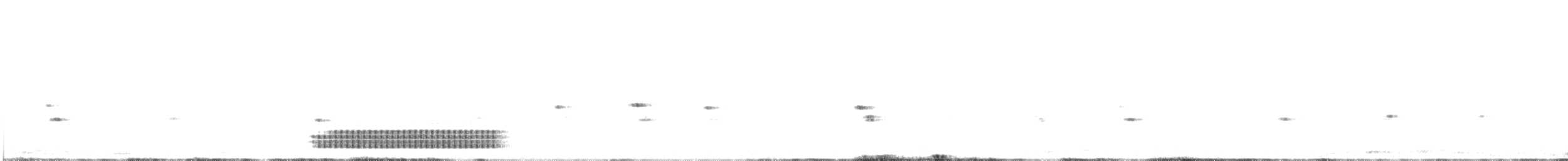 strakapoud proužkohřbetý - ML325124191